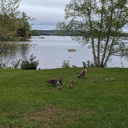 Alamoosook Lakeside Inn Orland Buitenkant foto